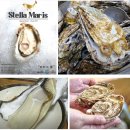 태화물산 | 정보통 수확의달인 통영 굴 스텔라마리스 택배 주문 삼배체 개체굴 양식장 태화물산(+위치 택배주문방법)