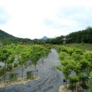 큐브존 캠핑장 이미지