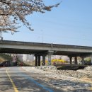 덕풍천동로 이미지