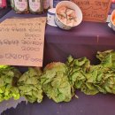 대성사슴농장 | [만리동 광장]6월 25일~26일 농부의 시장 이야기