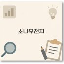 수도녹지사업소 | 소나무 전지 시기 방법 비용 교육 업체 완벽 정리