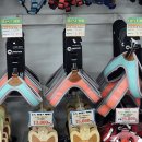 펫클럽 계양점 이미지