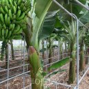 삼척시농업기술센터(원덕) 이미지