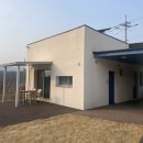 햄릿과 올리브 이미지