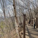 황지천~철암천 힐링숲길(1구간) 이미지
