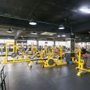 아이엠짐 이미지