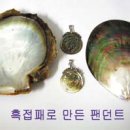 진주 Daum카페
