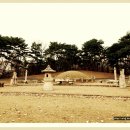 내곡동408 이미지