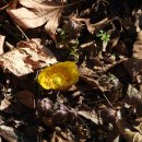 위례강변길 이미지