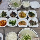 제주도 도민맛집 오구삼구민물장어아구찜 옥돔지리 솔직후기