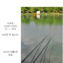 지청낚시터