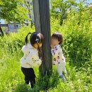 아이세움어린이집 이미지