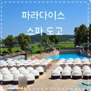 아메리칸피자 조대산수점 | 아산 파라다이스 스파 도고 푸드코트 교촌 식당 메뉴 &amp; 가격