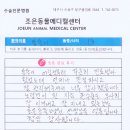 늘조은동물병원 이미지