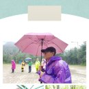 바래봉길 이미지