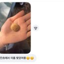 씨유구운드림점 | 드디어 졸업이라면 믿을래..?