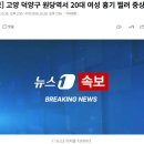 [속보] 고양 덕양구 원당역서 20대 여성 흉기 찔려 중상 이미지