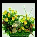 행복한날들 이미지