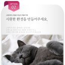 해운대동물메디컬센터 이미지