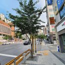 보라매온누리약국 이미지