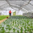 광준농장 이미지