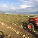 남밀양농협 이미지