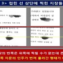 [자주시보] 단원고 강교감이 진술서에 남긴 심각한 진실 이미지