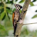 용진공업 이미지