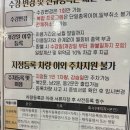 잠실올림픽수영장 아티스틱스위밍 후기(초급)
