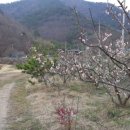 기우농장 이미지