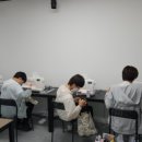 나주봉황중학교 이미지