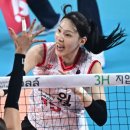이선우 마이데일리