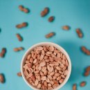 땅콩이네 이미지