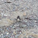 씨엔스톤 이미지