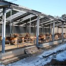 에벤에셀목장 이미지