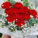 배곧스마트카 이미지