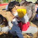 거제시농업개발원 이미지