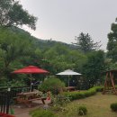 솔잎펜션 이미지