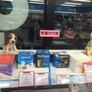 봄봄온누리약국 이미지