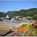 중앙지구챌린지월드