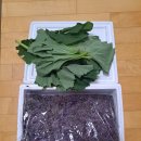 다구님 파래김 잘 도착 했어요 이미지