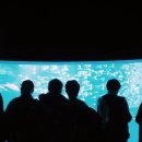 이리오시개 이미지