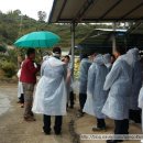 샘골농장 이미지