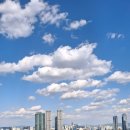 신동아아파트(102동앞) | [공지] 날로 짙어가는 신록이 좋은 응봉산 걷기 - 서울 명산