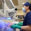 스마일팡팡 이미지