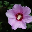 광주체육고등학교 이미지