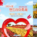 제720차 신안 병풍도 맨드라미축제, 12사도 순례길 섬티아고-기점.소악도 트레킹('24.10.12) 이미지