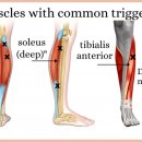 서인천성모의원 이미지
