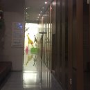 꿈을그리는미술피아노멜로디학원
