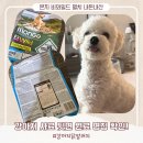 명칭 | 강아지 알러지 유발 성분 사료 뒷면 원료 명칭 확인! 몬지 비와일드 내돈내산 후기